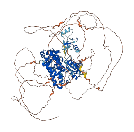 CBL 3D structure