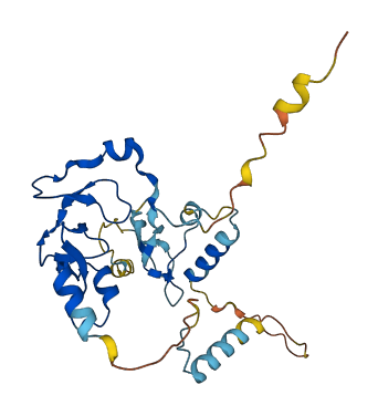 IGFBP4 3D structure