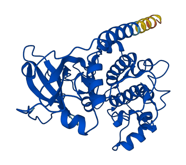 PRKACB 3D structure