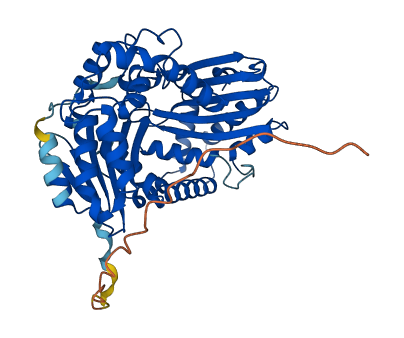 UQCRC2 3D structure