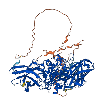 TGM1 3D structure