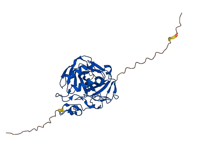 CA4 3D structure