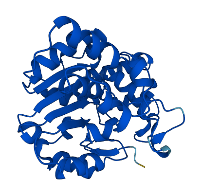 St2a2 3D structure