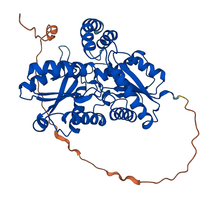 FECH 3D structure