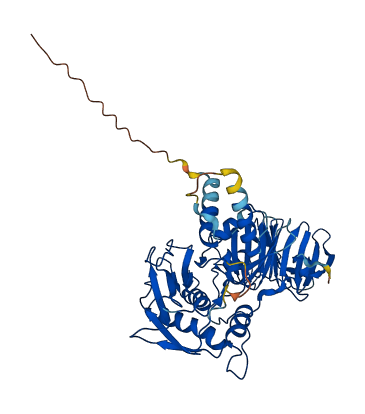 MMP8 3D structure