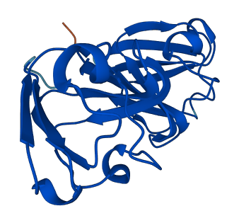 CRYGS 3D structure