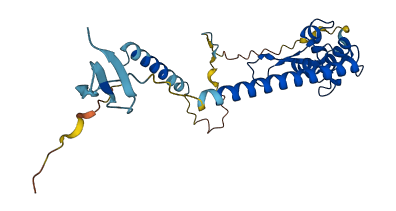 XPA 3D structure