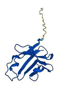 IGHV1-2 3D structure