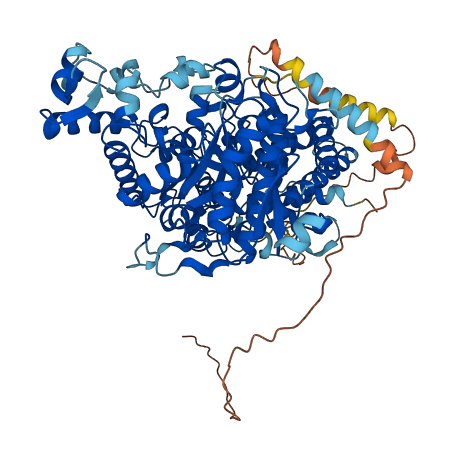 AMPD1 3D structure