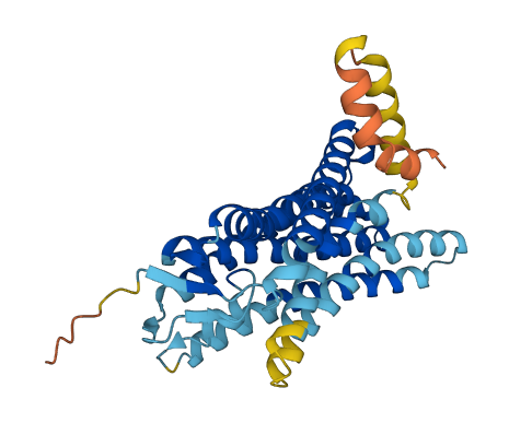 Olr1078 3D structure