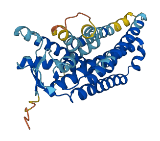 Olr1361 3D structure