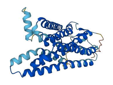 Olr287 3D structure
