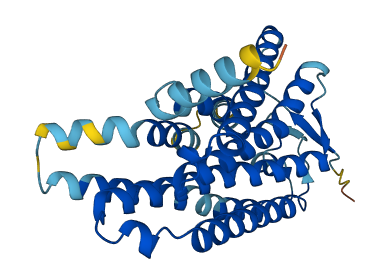 Olr1496 3D structure