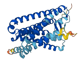 Olr1493 3D structure