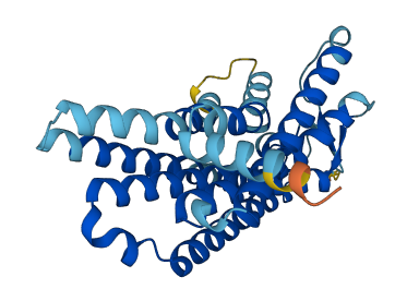 Olr1500 3D structure