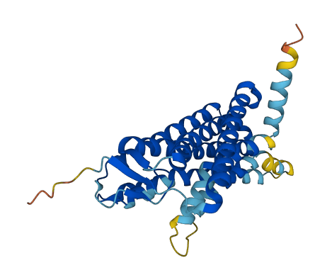 Olr1468 3D structure