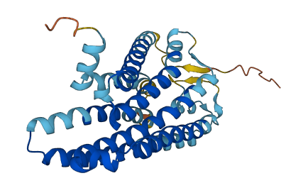 Olfr15 3D structure