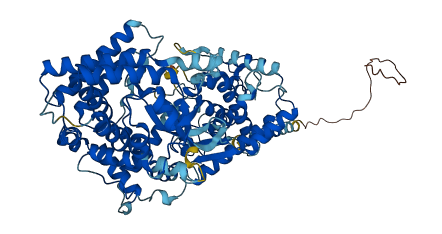 KEL 3D structure
