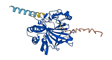 CA6 3D structure