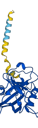 PPIB 3D structure