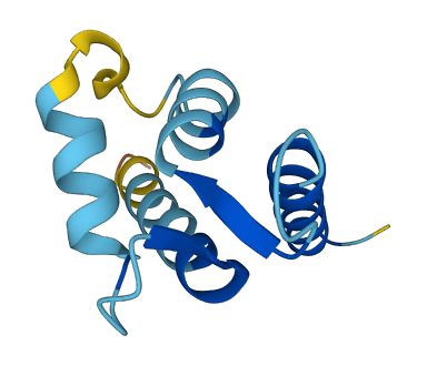 S100A1 3D structure
