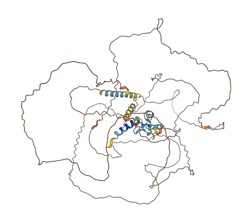 HRC 3D structure