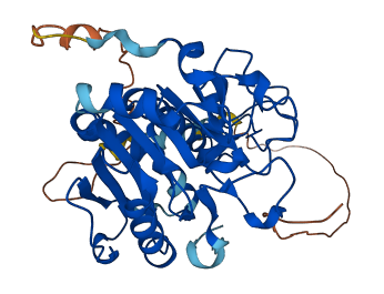 Ggta1 3D structure