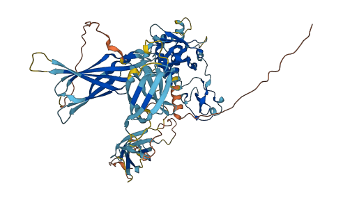 ANOS1 3D structure