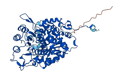 ME2 3D structure