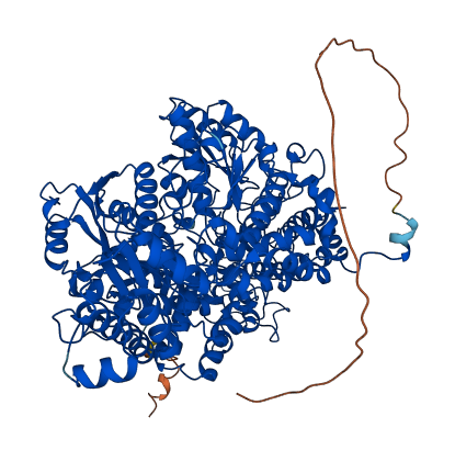 GLDC 3D structure