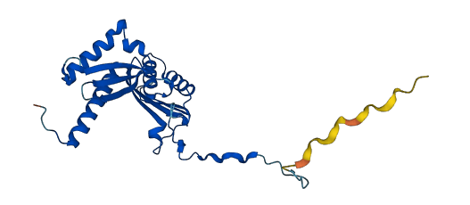 RPS3 3D structure