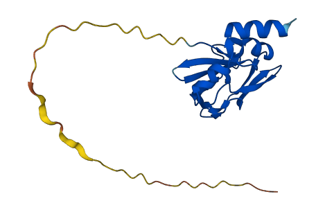 GCSH 3D structure