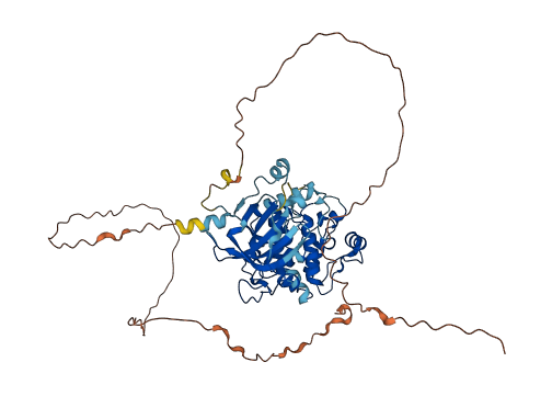 RPS6KB1 3D structure