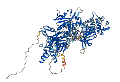 JAK1 3D structure