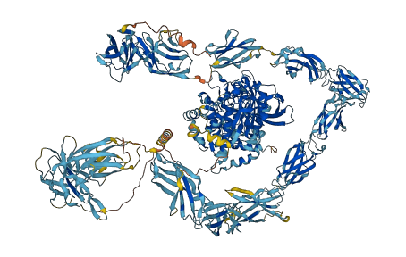 PTPRD 3D structure