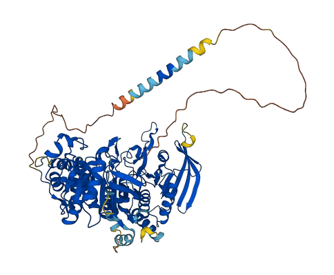 PTPRE 3D structure