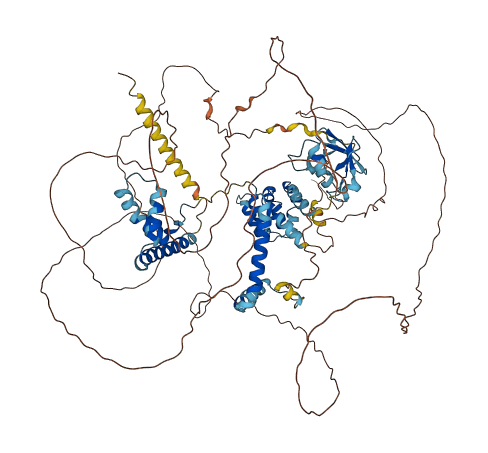 SP100 3D structure