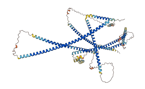 MCC 3D structure