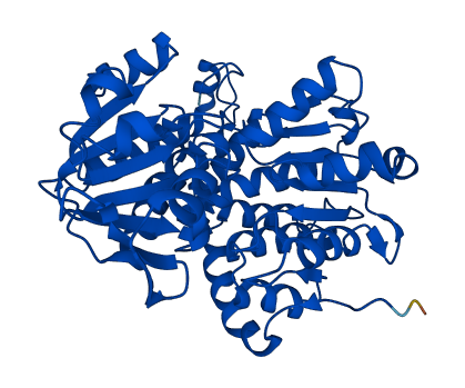 AHCY 3D structure