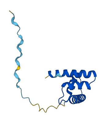 HIST1H2BO 3D structure