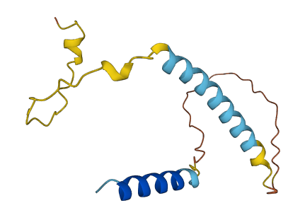NPPC 3D structure