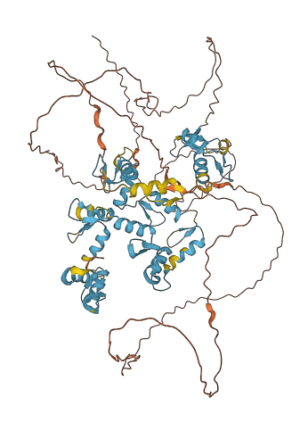 Zfa 3D structure