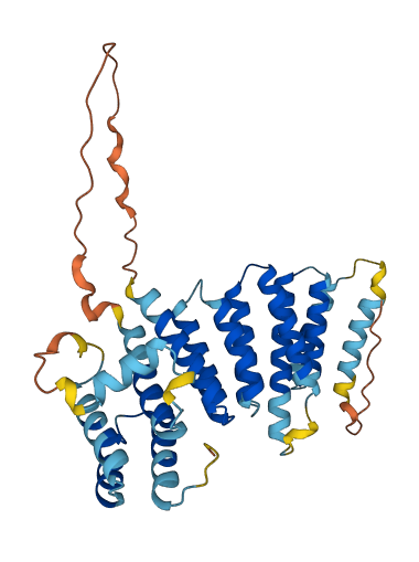 F8A1 3D structure