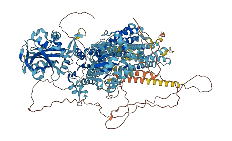 ATP2B4 3D structure