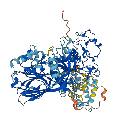 DGKA 3D structure