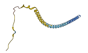 VAMP1 3D structure