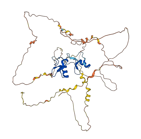 GATA2 3D structure