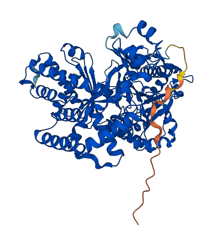 CPT2 3D structure
