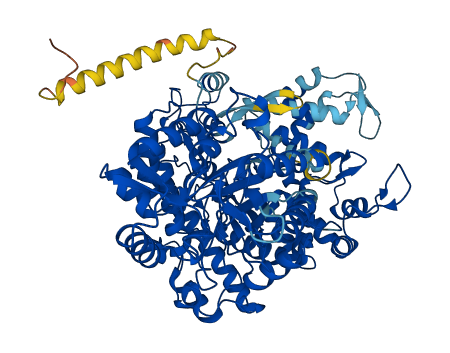 RRM1 3D structure