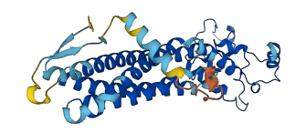PRPH2 3D structure